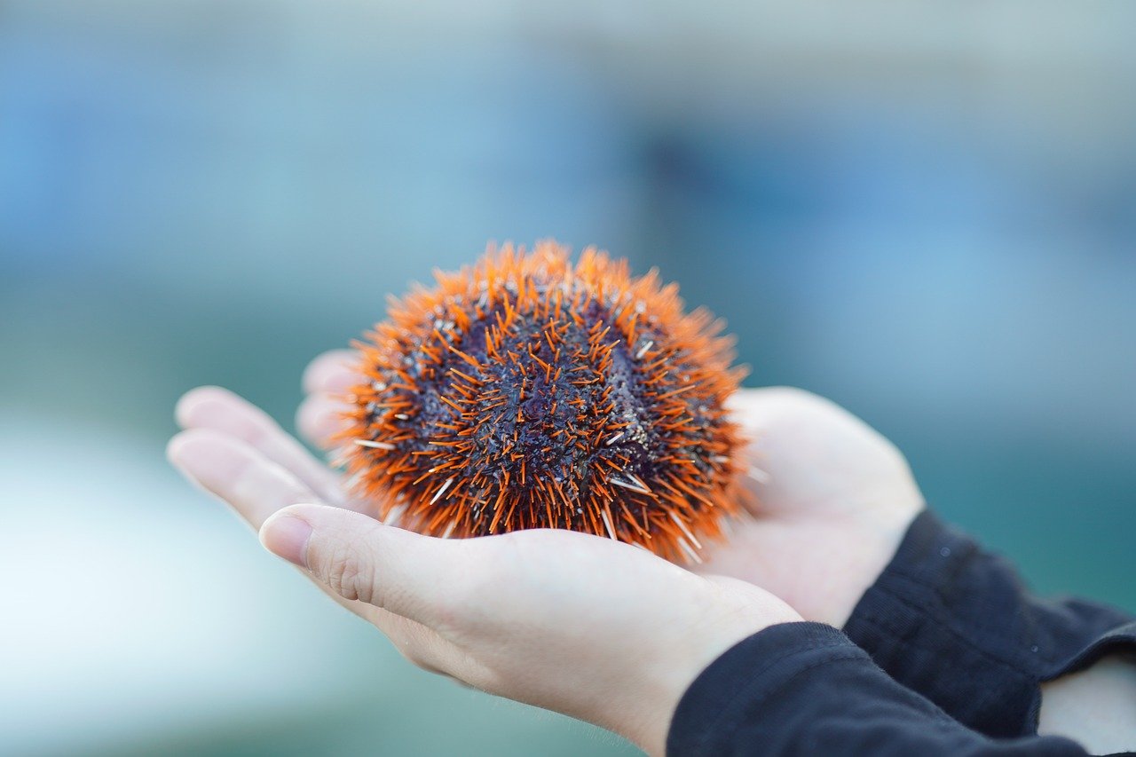 The Importance of Marine Litter Clean-Up Operations